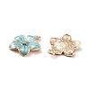 Zinc Alloy Enamel Pendants LS-PALLOY-I124-10G-E-2
