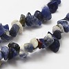 Natural Sodalite Beads Strands G-F328-25-3