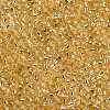 8/0 Glass Seed Beads X2-SEED-A005-3mm-22-2