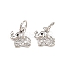 Brass Micro Pave Clear Cubic Zirconia Charms KK-H292-56C-P-1