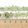 Natural Prehnite Beads Strands X-G-P332-41A-4