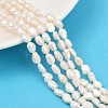 Natural Cultured Freshwater Pearl Beads Strands PEAR-P064-20H-02C-1