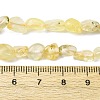 Natural Gold Prehnite Beads Strands G-K395-A07-01-5