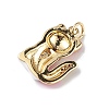 Rack Plating Brass Micro Pave Cubic Zirconia Pendants KK-F848-01G-4