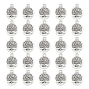 Tibetan Style Alloy Pendants FIND-DC0006-12B-1