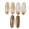 Natural Fossil Coral Pendants G-B187-01C-10-1