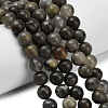 Natural Volcanic Agate Beads Strands X-G-G305-A01-8mm-1