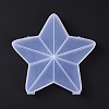 10 Grids Transparent Plastic Box CON-B009-06-1