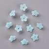 Transparent Acrylic Beads PL554-11-3
