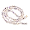 Natural Agate Beads Strands G-H302-A01-09-5