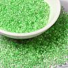 6/0 Transparent Glass Seed Beads SEED-F003-03A-13-1