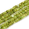 Natural Freshwater Shell Dyed Beads Strands SHEL-T020-29B-04-1
