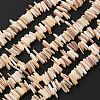 Natural Shell Beads Strands SHEL-D002-01A-1