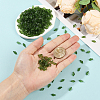 500Pcs Transparent Acrylic Charms TACR-SP0001-36A-4