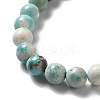 Natural Magnesite Beads Strands G-L555-02B-02-3