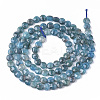 Natural Apatite Beads Strands G-S362-011-2
