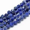 Natural Sodalite Beads Strands G-R448-6mm-09-1