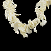 Chips Natural Sea Shell Beads Strands SSHEL-F290-30-2
