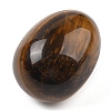 Natural Tiger Eye Palm Stones G-I367-04F-2