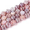 Dyed Natural Agate Beads Strands G-T144-27E-4