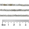 Natural Labradorite Beads Strands LS-G-I341-11A-4