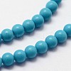 Synthetic Turquoise Beads Strands G-N0210-02-3mm-3