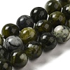 Natural Xiuyu Jade Beads Strands G-H298-A08-05-1