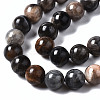 Natural Black Sunstone Beads Strands X-G-N328-48A-01-3