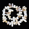 Natural Trochid Shell/Trochus Shell Beads Strands SHEL-S258-082-A01-2
