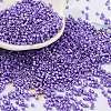 Baking Paint Glass Seed Beads SEED-S042-15B-32-1