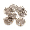 Tibetan Style Zinc Alloy Pendants TIBEP-EA11591YKG-AB-LF-1