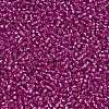 TOHO Round Seed Beads SEED-JPTR15-2107-2