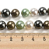 Polished Shell Pearl Bead Strands BSHE-F013-07D-4