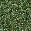 MIYUKI Round Rocailles Beads SEED-X0054-RR0375-3