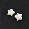 Natural White Shell Beads SHEL-R100-06A-2