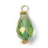 15Pcs 15 Color Electroplate Glass Pendants PALLOY-JF02257-2