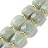 Natural Amazonite Beads Strands G-H061-A09-01-1