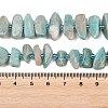 Natural Amazonite Beads Strands X-G-P619-A04-01-5