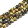 Natural Dream Tiger Eye Beads Strands G-S300-10mm-107A-1