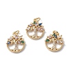 Brass Micro Pave Cubic Zirconia Pendants KK-E003-04G-2