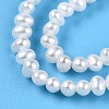 Natural Cultured Freshwater Pearl Beads Strands PEAR-N016-02A-4
