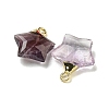 Natural Amethyst Pendants G-P540-01G-10-2