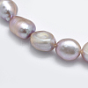 Natural Cultured Freshwater Pearl Beads Strands PEAR-K003-19B-3
