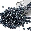 TOHO 6/0 Round Beads X-SEED-TR06-1208-1