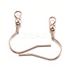 Ion Plating(IP) 304 Stainless Steel Earring Hooks LS-STAS-G170-06RG-2