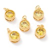 Real 18K Gold Plated Brass Inlaid Cubic Zirconia Charms ZIRC-L100-081G-02-1