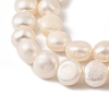 Natural Cultured Freshwater Pearl Beads Strands PEAR-P064-19L-02B-4
