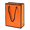 Rectangle Paper Bags with Twisted Rope Handles CARB-L011-01B-02-1