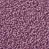 MIYUKI Round Rocailles Beads SEED-X0055-RR0645-3