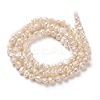 Natural Cultured Freshwater Pearl Beads Strands PEAR-L033-42A-3